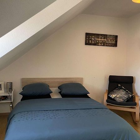 Joli Appartement Avec Place De Parking Prive コルマール エクステリア 写真
