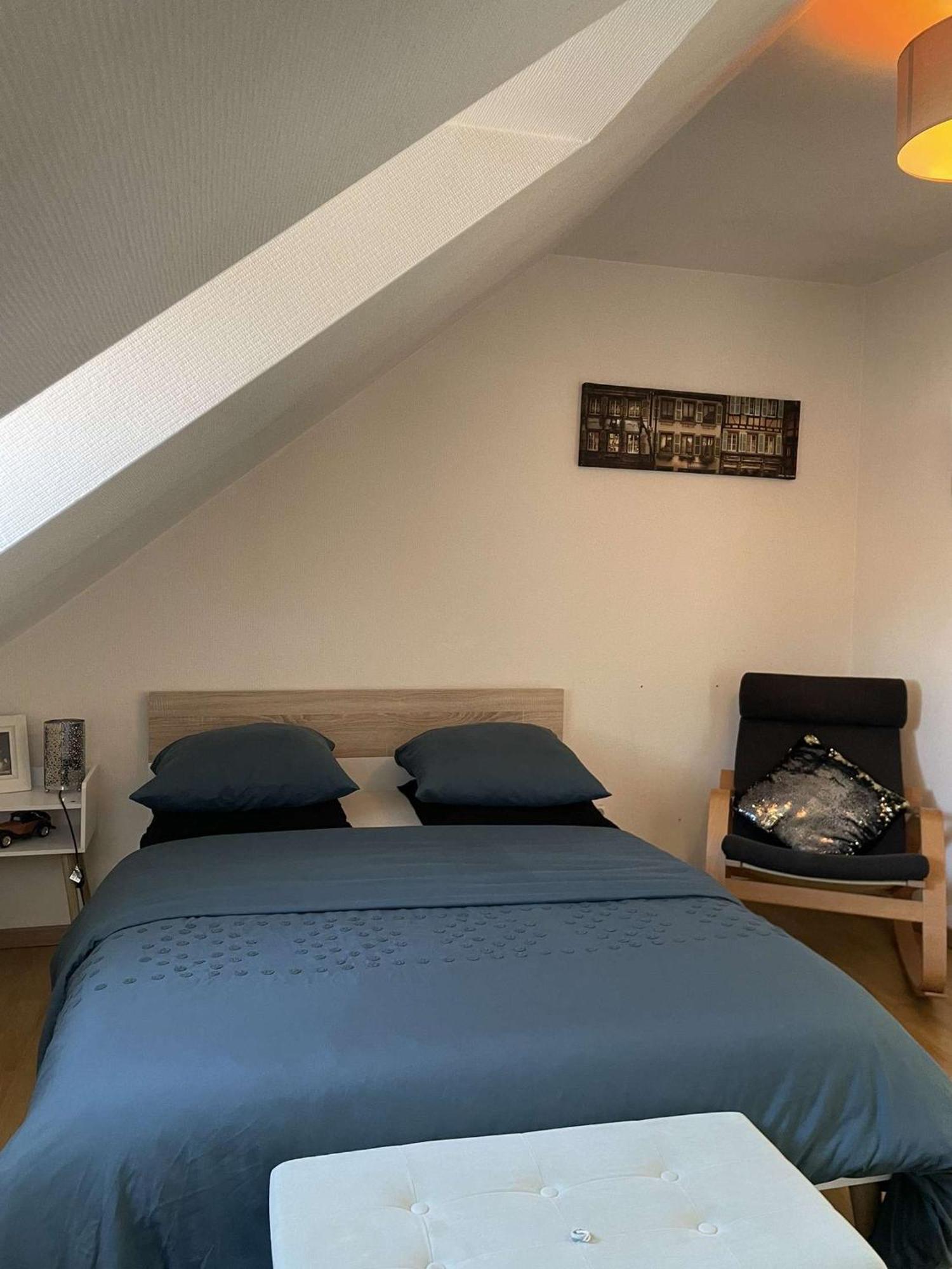 Joli Appartement Avec Place De Parking Prive コルマール エクステリア 写真
